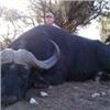 Image 3 : Trophy Cape Buffalo and Sable