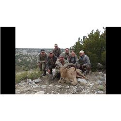 Aoudad Hunt