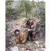 Image 2 : Aoudad Hunt