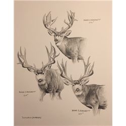 Original Dallen Lambson