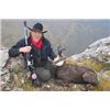 Image 2 : Chamois Hunt-Serbia Balkan or Carpathian
