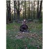 Image 2 : Parent & Child Gobbler Hunt in PA