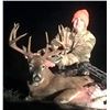 Image 1 : Archery Whitetail
