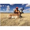 Image 1 : 2019 Colorado Safari- Elk,Mule Deer & Pronghorn