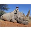 Image 1 : Darted Rhino