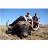 Image 1 : Cape Buffalo & Sable