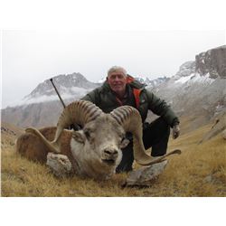 Marco Polo/Hume Argali Hunt
