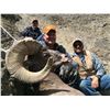 Image 1 : 2019 WY Governor's Bighorn Sheep License