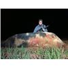 Image 1 : Hog Assault  Thermal Night Hog Hunt for 1