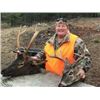 Image 3 : Montana  Elk & Deer Combination Hunt