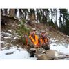 Image 4 : Montana  Elk & Deer Combination Hunt
