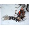 Image 2 : Montana Parent/Youth  Elk & Deer Combination Hunt