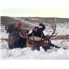 Image 2 : Wyoming Cow Elk Hunt