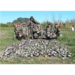 5 Day/4 Night High-Volume Dove Shoot for 4-6 Hunters with L& S Hunting in Santiago del Estero, Argen