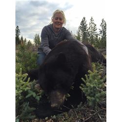 5 Day Black Bear Hunt for 1 Lady Hunter with Big Country Outfitters in Wyoming