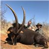 Image 1 : 7 Day Sable/Impala Hunt for 2 Hunters (2X1) 