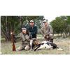 Image 2 : 3 Day-2 Night Guided Hunt for 2 Hunters for Exotic Trophies with L& L Adventures near Wimberly, Texa