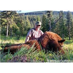 6 Day Black Bear Hunt and Fishing for 1 Hunter and 1 Observer with Elk Creek Outfitting in Montana