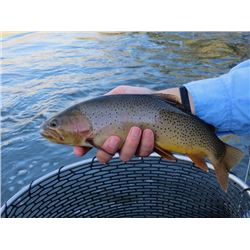 Yellowstone Float Trip - Livingston, MT