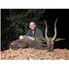 Image 3 : South Africa for 2 hunters with Kerneels Viljoem AND One African Antelope Mount Montana Recapture
