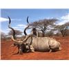 Image 6 : South Africa for 2 hunters with Kerneels Viljoem AND One African Antelope Mount Montana Recapture