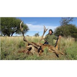 Argentina Free Range Stag Hunt 2 Hunter Days and Trophy Fees Included