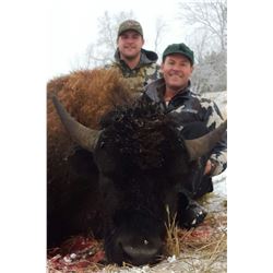 Montana Management Bison Hunt with Steve Killorn of Buffalo Wallow Ranch