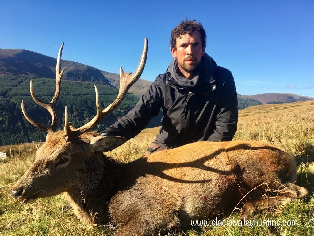 Ireland Deer hunt for 2 hunters with outfitter Jim Nolan