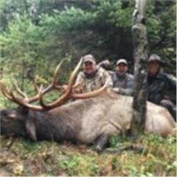British Columbia Archery Elk hunt with Rocky Mountain High Outfitters