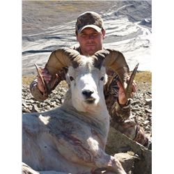 Alaska Dall Sheep hunt with Mike Colpo/Alaska Master Guide #194