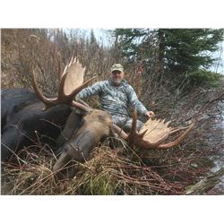 All Inclusive BC Canadian Moose Hunt with Total Outdoor Adventures