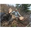 Image 1 : All Inclusive BC Canadian Moose Hunt with Total Outdoor Adventures
