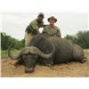 Image 1 : All Inclusive Mozambique Cape Buffalo Hunt with JP Safaris
