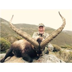 Spain 5 day hunt with $2,000 credit with Giuseppe Carrizosa