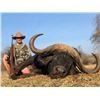 Image 10 : South African plains game Phillip Bronkhorst Safaris for 1 hunter and one observer AND One African A