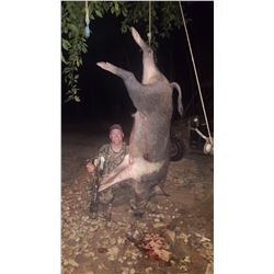 Texas Unlimited Hog Hunt for 4 People