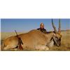 Image 2 : African Eland & Waterbuck Safari w/Global Rescue Certificate