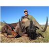 Image 3 : African Eland & Waterbuck Safari w/Global Rescue Certificate