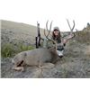 Image 3 : Oregon State Access & Habitat Board Statewide Deer Tag