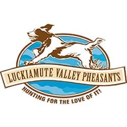 Luckiamute Valley Pheasant Hunt