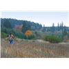 Image 2 : Luckiamute Valley Pheasant Hunt