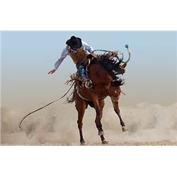 National Finals Rodeo in Las Vegas!