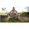 Image 4 : $4,000 credit for 2 hunters towards Ohio whitetail Hunt