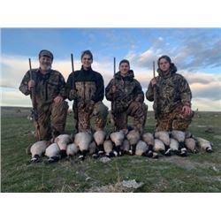 Moses Lake Duck or Goose Hunt