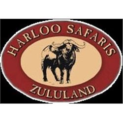 Harloo Safaris: South Africa Plains Game Safari