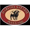 Image 1 : Harloo Safaris: South Africa Plains Game Safari