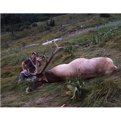 Governor’s Westside Roosevelt Elk Tag
