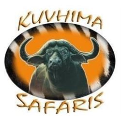 African Safari in Limpopo Province of South Africa