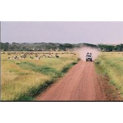 7-Day Plains Game Hunt Eastern Cape South Africa