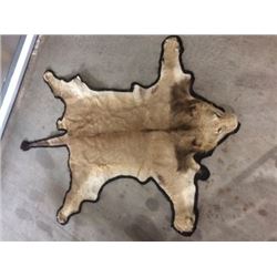 Lion Rug